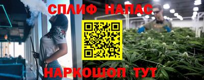 молекула духа Волжский